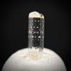 0.23 carat Burmese phenakite drill bit crystal for sale, glass clear, natural termination available at sanctuaryofstones.com photo 8