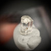 0.49 carat Burmese phenakite drill bit crystal for sale, glass clear, natural termination available at sanctuaryofstones.com photo 4