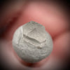 0.56 carat Burmese phenakite drill bit crystal for sale, glass clear, natural termination available at sanctuaryofstones.com photo 10