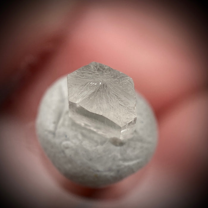 0.56 carat Burmese phenakite drill bit crystal for sale, glass clear, natural termination available at sanctuaryofstones.com photo 10