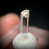 0.90 carat Burmese phenakite drill bit crystal for sale, glass clear, natural termination available at sanctuaryofstones.com photo 4