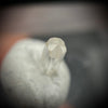 0.29 carat Burmese phenakite drill bit crystal for sale, glass clear, natural termination available at sanctuaryofstones.com photo 3