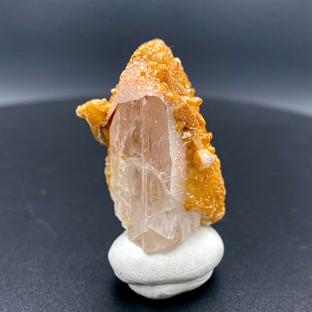 Large Mexican danburite crystal specimen with druzy quartz and golden calcite coating weighing 39.46 grams available on sanctuary of stones dot com photo 2
