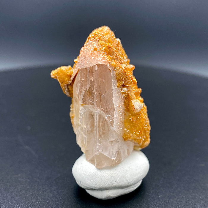 Large Mexican danburite crystal specimen with druzy quartz and golden calcite coating weighing 39.46 grams available on sanctuary of stones dot com photo 2
