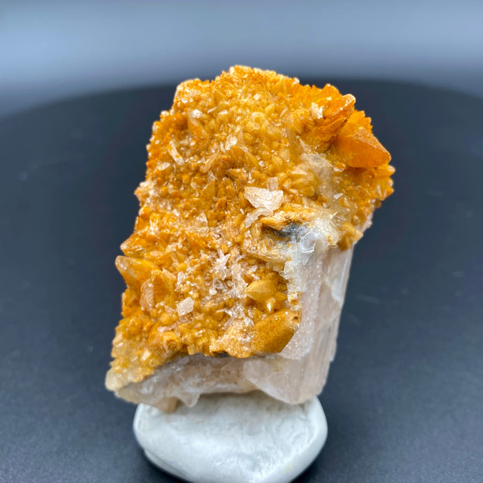 Large Mexican danburite crystal specimen with druzy quartz and golden calcite coating weighing 80.80 grams available on sanctuary of stones dot com photo 2