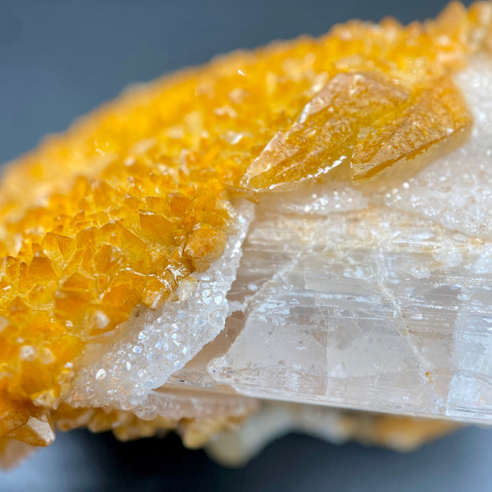 Large Mexican danburite crystal specimen with druzy quartz and golden calcite coating weighing 80.80 grams available on sanctuary of stones dot com photo 7