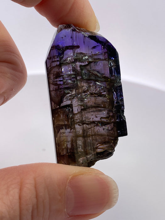 natural unheated tanzanite specimen 24.91 grams photo 11 Sanctuary of Stones dot com