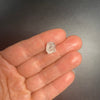 1 gram optically clear raw Madagascar phenakite crystal with tourmaline inclusions available at sanctuaryofstones.com