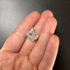 3.90 gram raw Madagascar phenakite crystal with tourmaline inclusions available at sanctuaryofstones.com