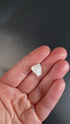 natural raw madagascar phenakite crystal weighing 1.60 grams available at sanctuaryofstones.com