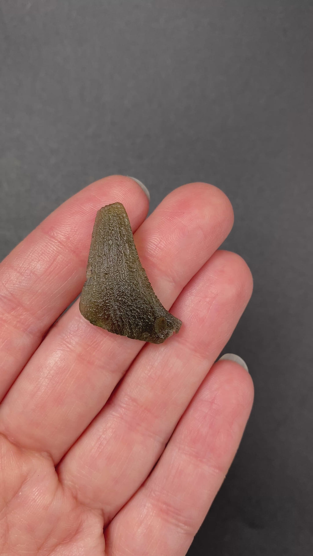 Raw moldavite specimen, authentic tektite 2.512 grams available at sanctuaryofstones.com