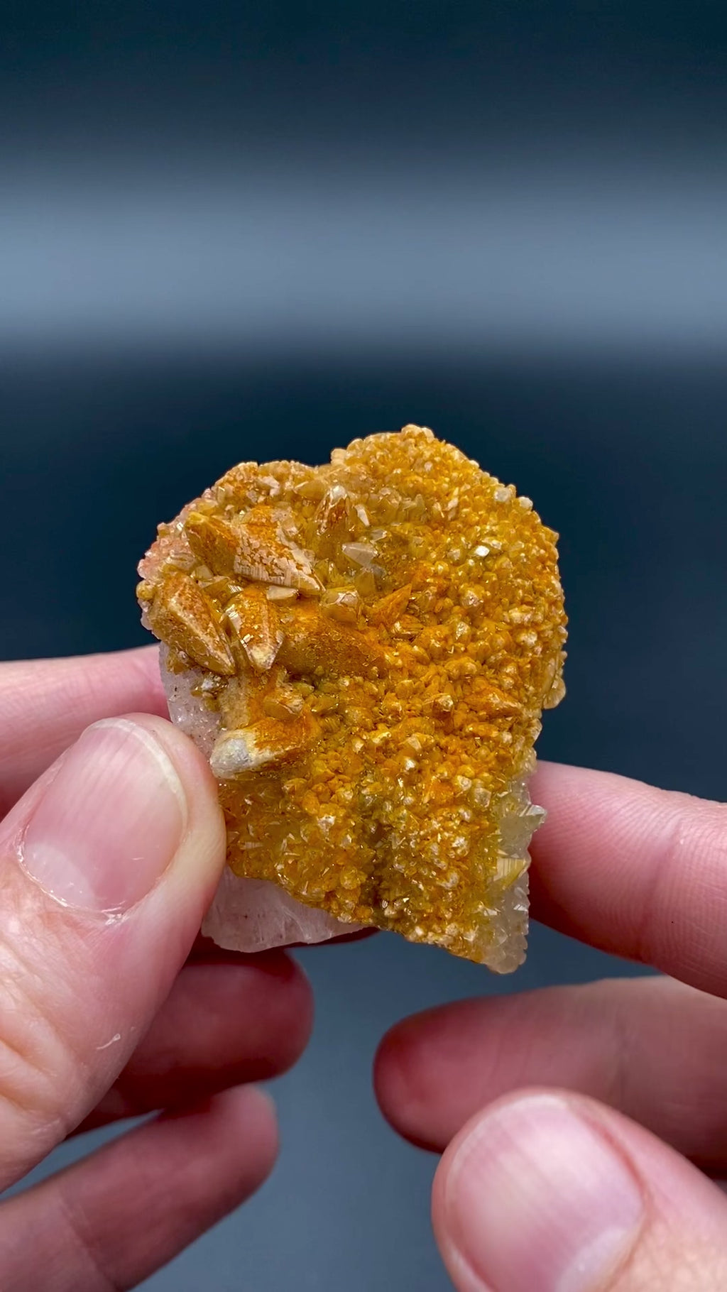 Large Mexican danburite crystal specimen with druzy quartz and golden calcite coating weighing 39.46 grams available on sanctuary of stones dot com video