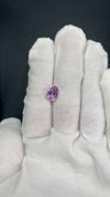 3.70 ct. Kunzite from afghanistan, pear cut, VVS clarity, untreated, available on sanctuaryofstones.com sanctuary of stones dot com, video
