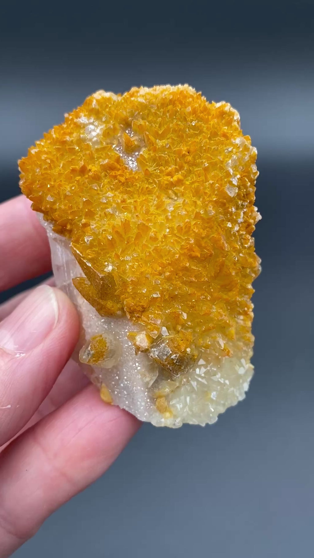 Large Mexican danburite crystal specimen with druzy quartz and golden calcite coating weighing 80.80 grams available on sanctuary of stones dot com video