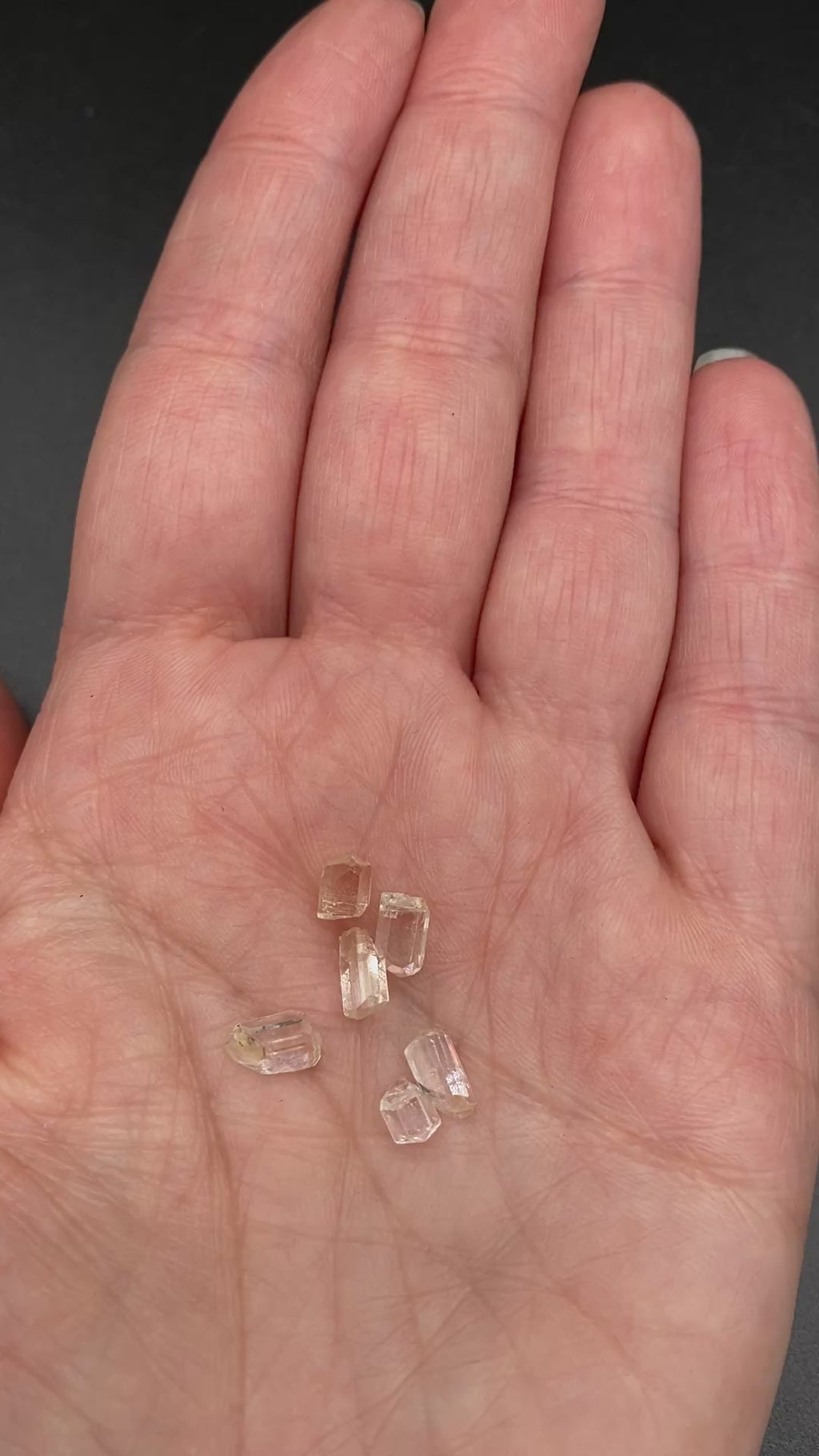 6-piece Burmese phenakite crystal lot in hand to show size | available for sale at sanctuary of stones dot com sanctuaryofstones.com